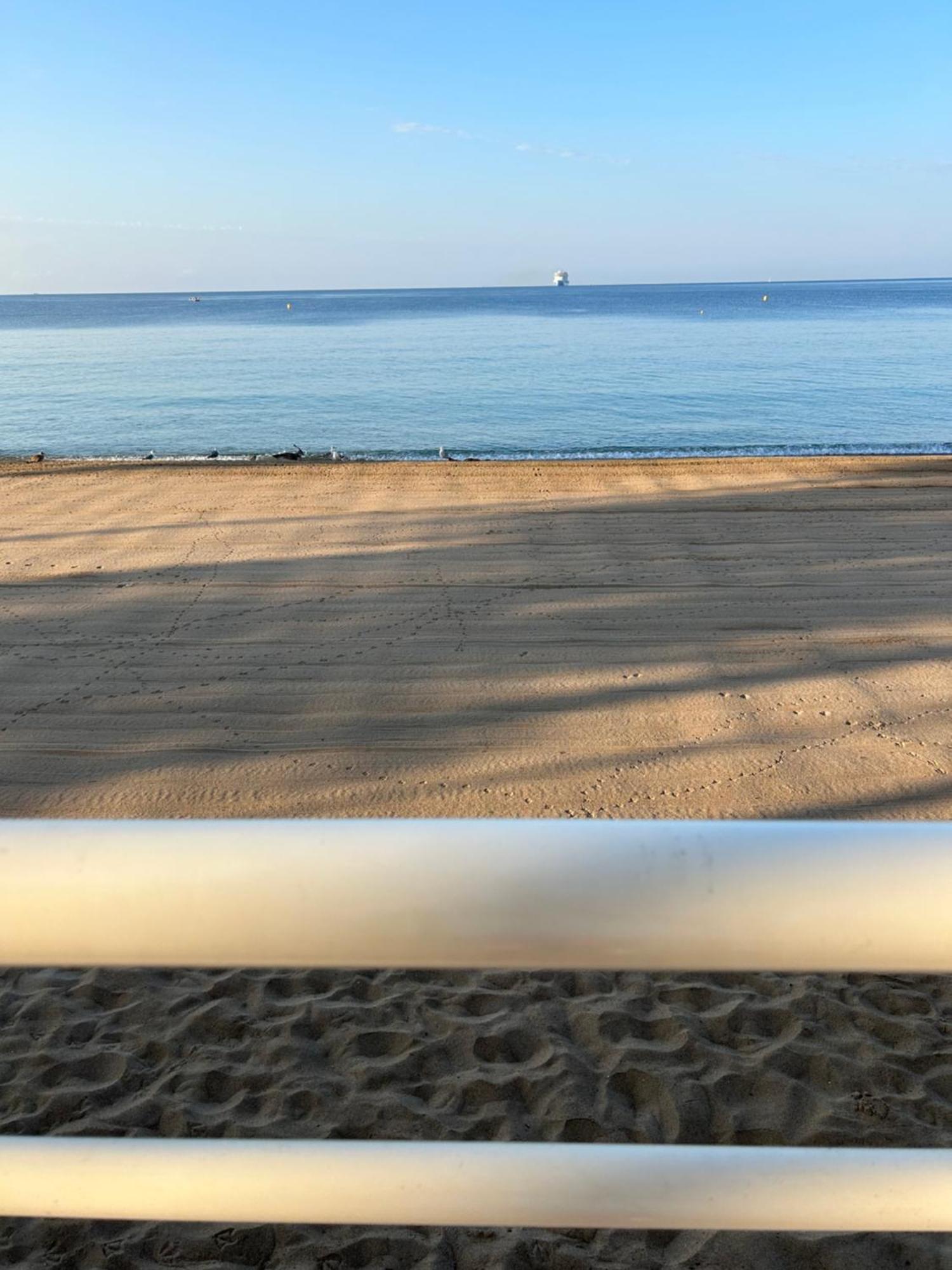 Appartement Rooftop, Premiere Ligne, Vue Mer, 50M De Plage Du Midi Cannes Exteriör bild